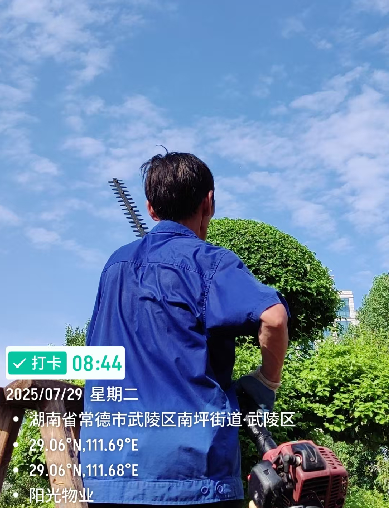 常德物业管理,物业企业,尊龙官方物业